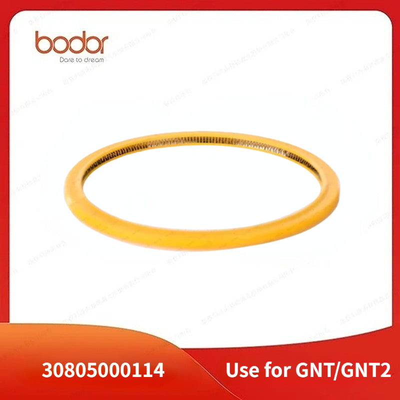 Seal Ring/30805000114/use for GNT/GNT2